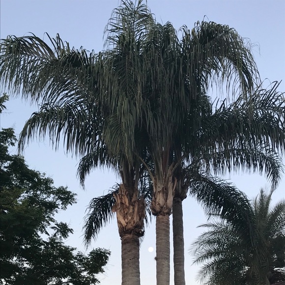 Meet your Posher, Rob - Picture 2 of 3